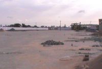 Click image to open!