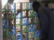 Click image to open!